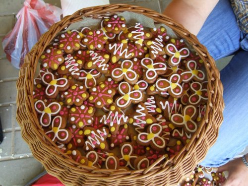 Dětský den - 1.6.2008